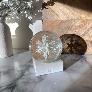 Elegant Snowflake Snow Globe